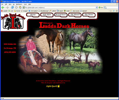 http://www.laddsdarkhorses.com/